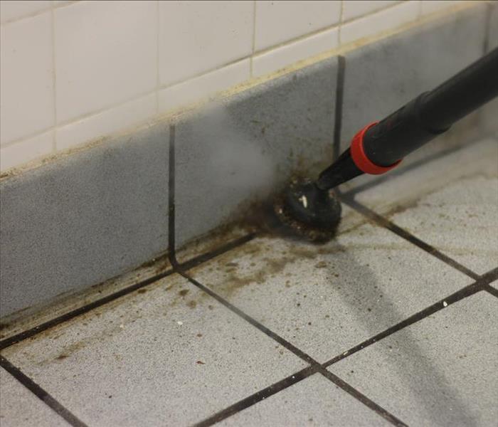 Steam cleaning grout