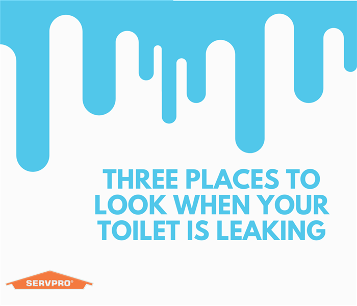“Three places to look when your toilet is leaking” with water dripping from top and the SERVPRO logo”