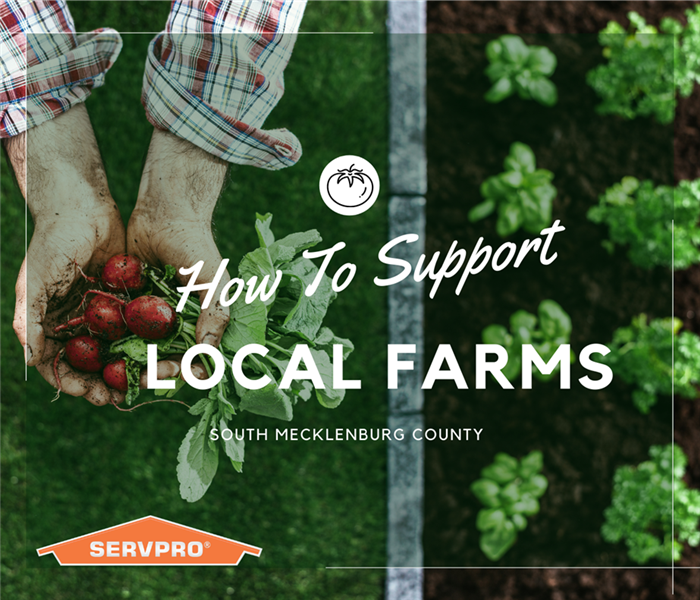 “How to Support Local Farmers” with SERVPRO logo and photo of vegetables growing