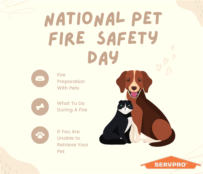 National Pet Fire Safety Day” with photo of dog and a cat and the SERVPRO logo
