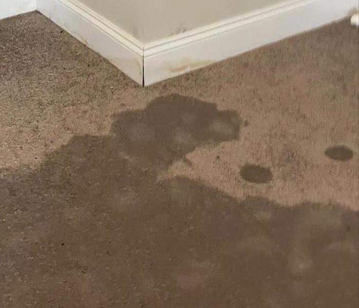 Wet Carpet from a leak