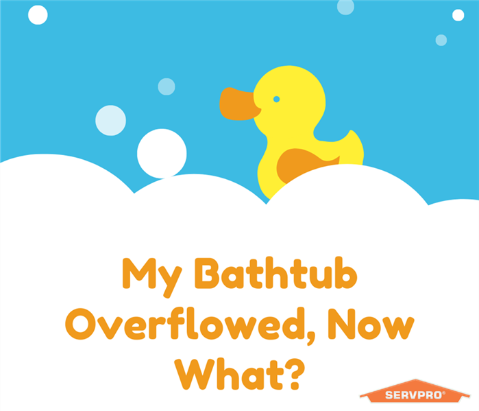 “My Bathtub Overflowed, Now What?” with white bubbles and a yellow rubber duck and the SERVPRO logo.