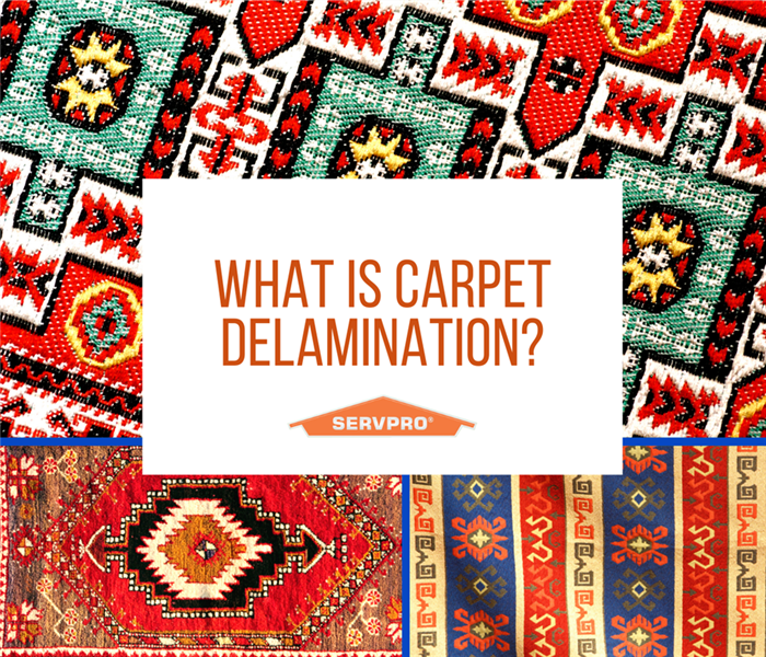 “What is Carpet Delamination” with colorful carpets and the SERVPRO logo.