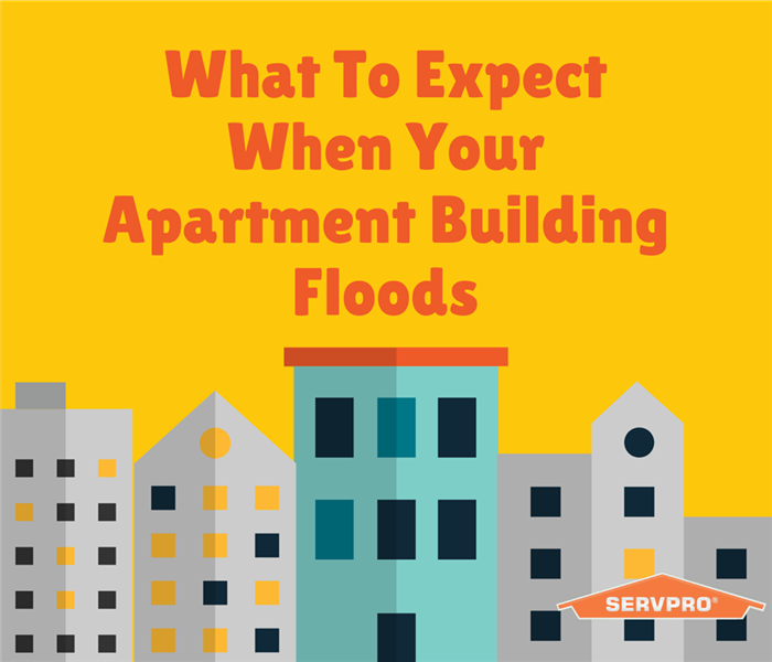 “What To Expect When Your Apartment Building Floods” with animated apartment buildings and the SERVPRO logo
