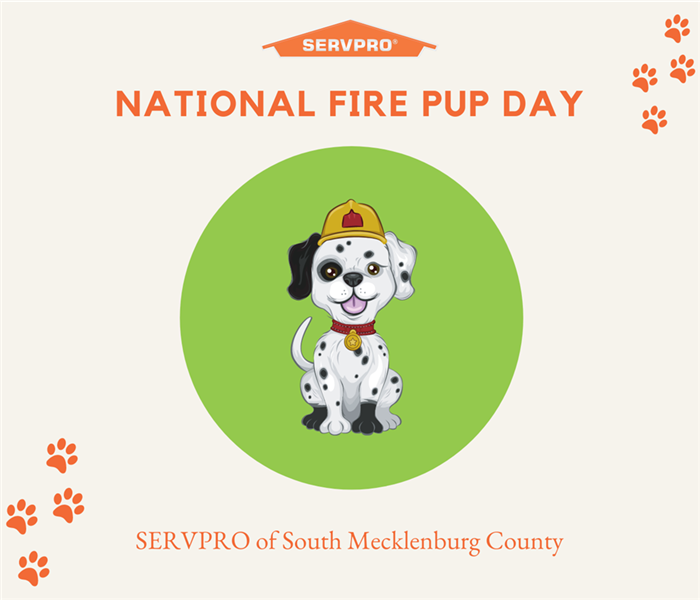 “National Fire Pup Day” with a Dalmation wearing a firefighter hat and SERVPRO logo