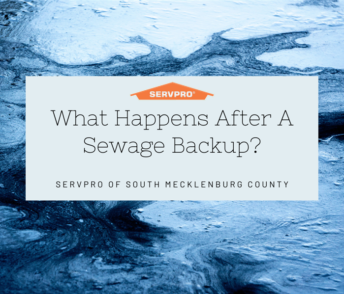 "what happens after a sewage backup" with a blue abstract background and SERVPRO logo
