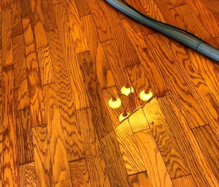Water on Hardwood Floor