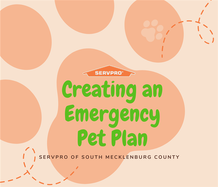 “Creating an emergency pet plan” with a big paw print and the SERVPRO logo
