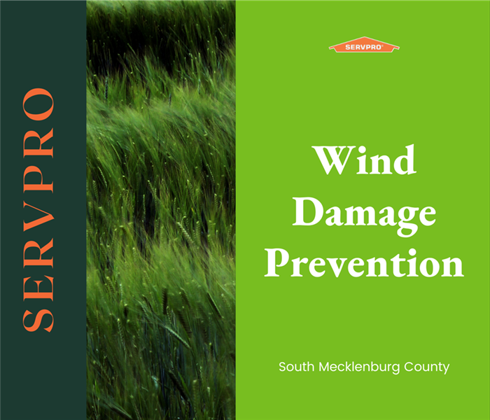 “Wind Damage Prevention” with grass blowing in the wind and SERVPRO logo