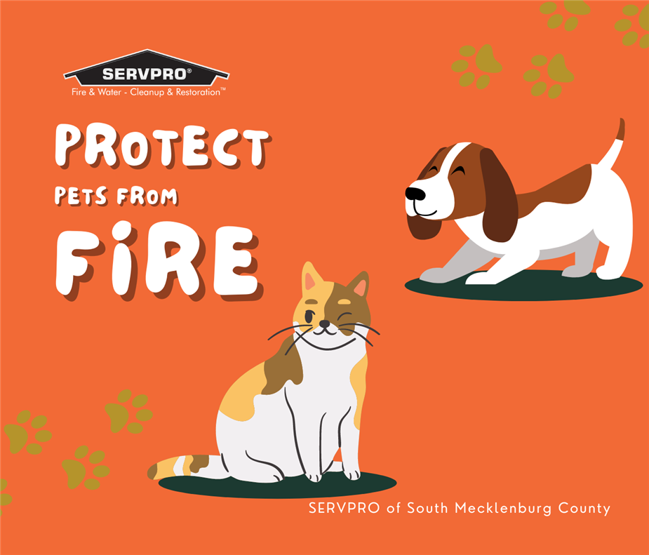 “Protect Pets From Fire” with a cat and dog and SERVPRO logo