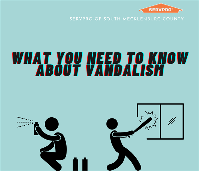 “What You Need to Know About Vandalism” with images of acts of vandalism and the SERVPRO logo